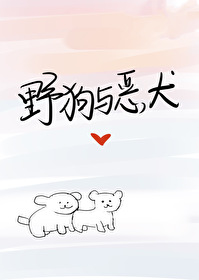 野狗与恶犬讲的是什么