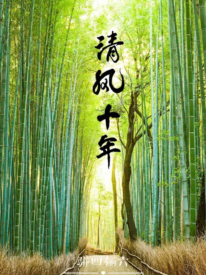[火影]过气偶像今天殉情了没