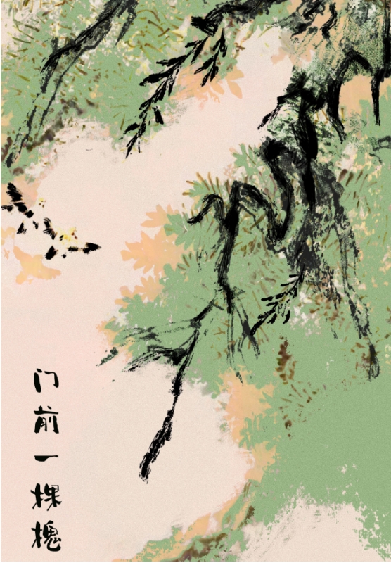 门前一棵槐树代表什么