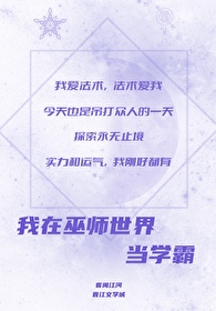 我在巫师世界当学霸免费阅读