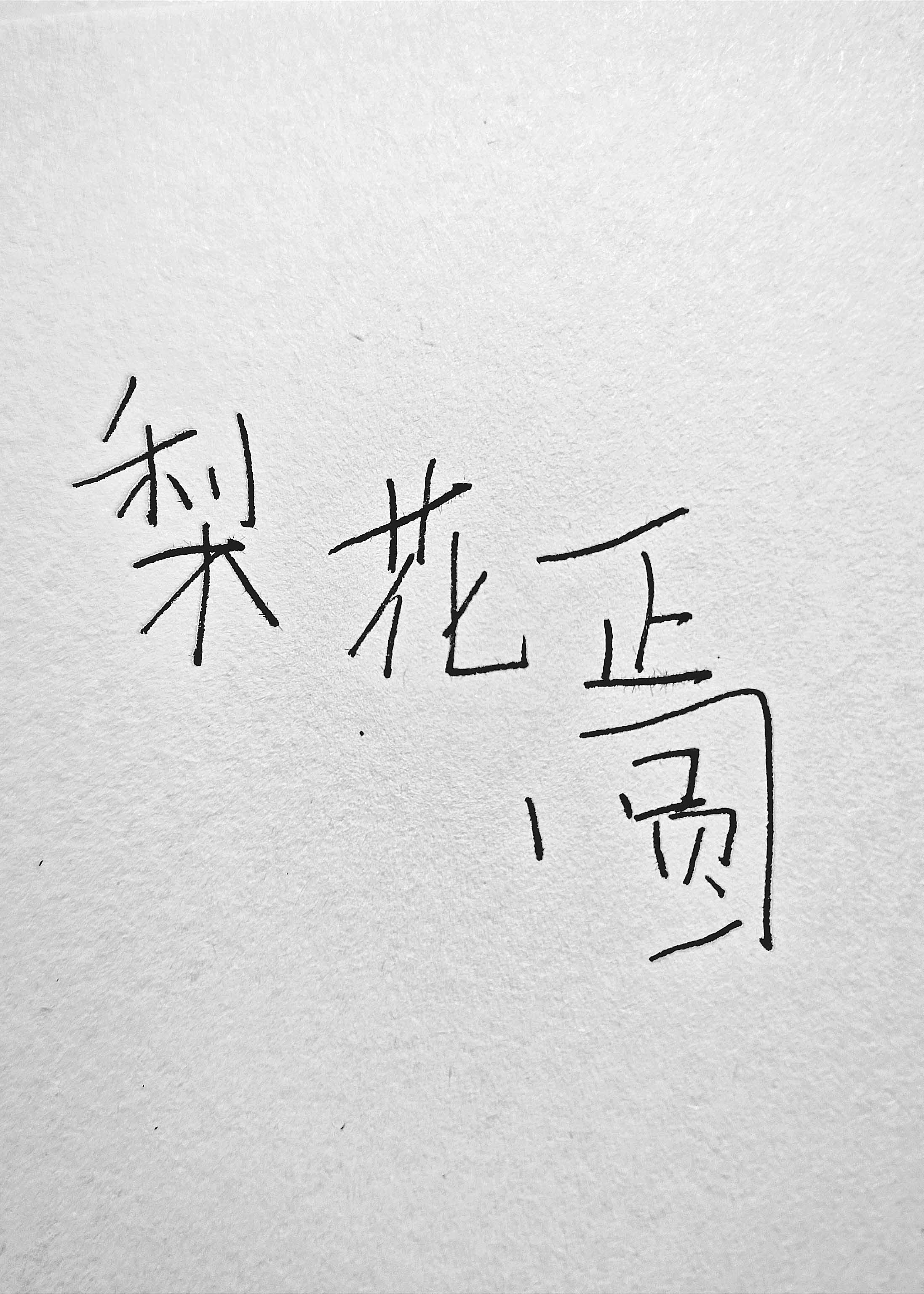 梨花正圆我将在今天吻你微博