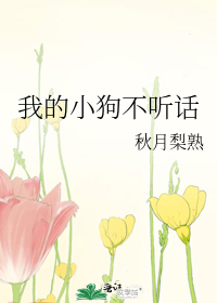 农政天下：晴明盛世
